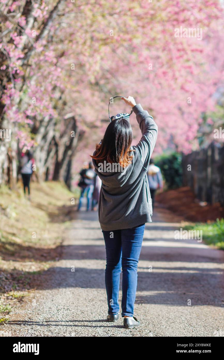 Verschwommenes Bild Eine junge Frau, die reist und im Winter Fotos von der wunderschönen rosa Kirschblüte Sakura macht. Ein junger Fotograf reist und fängt Th ein Stockfoto