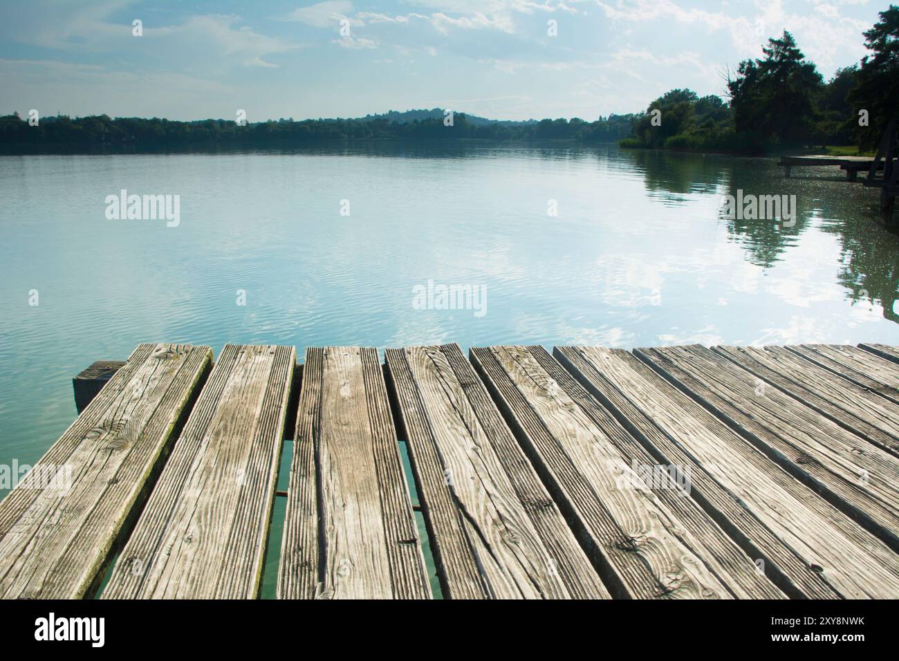 Holzsteg am See im Wald. Sommerlandschaft im schweizer See léman Stockfoto