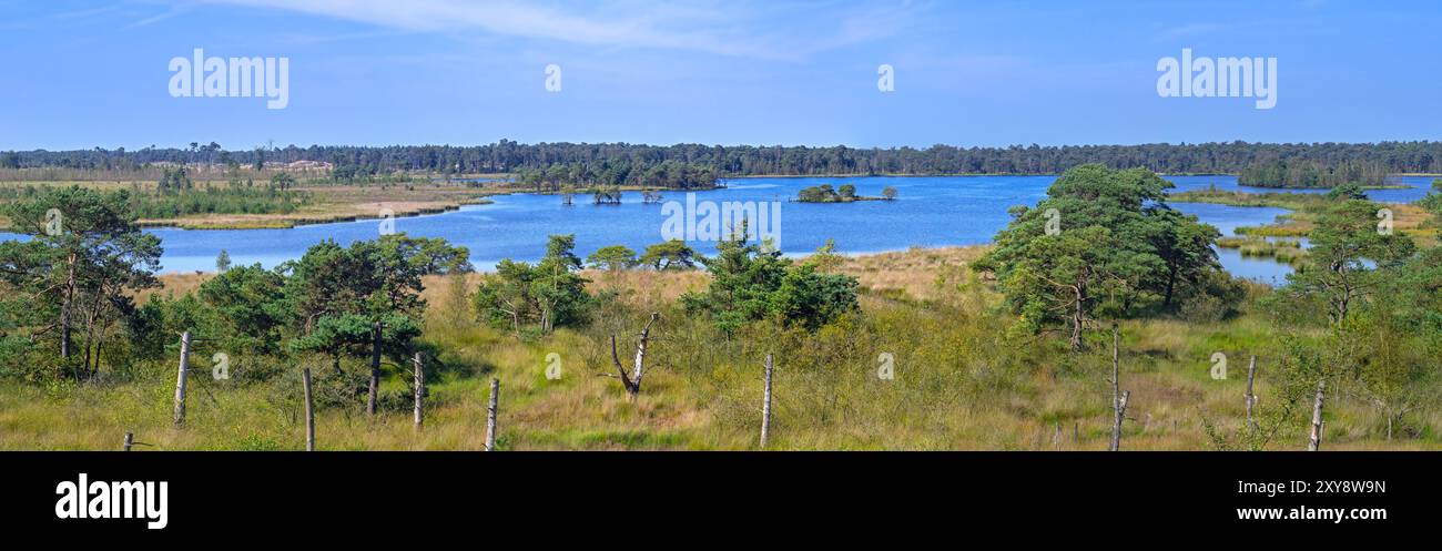 Blick vom Aussichtsturm de Stapper über Stappersven, Fen in Grenspark Kalmthoutse Heide / Kalmthout Heide, Naturschutzgebiet im Sommer, Flandern, Belgien Stockfoto
