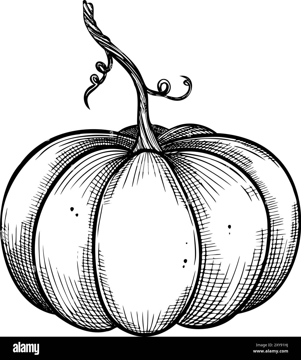 Kürbis-Vektor-Illustration für Herbst- und Halloween-Designs. Lineare Zeichnung von Gourd auf isoliertem Hintergrund für Harvest Festival Einladung. Saisonales Gemüse im Umrissstil, mit schwarzer Tinte bemalt. Stock Vektor