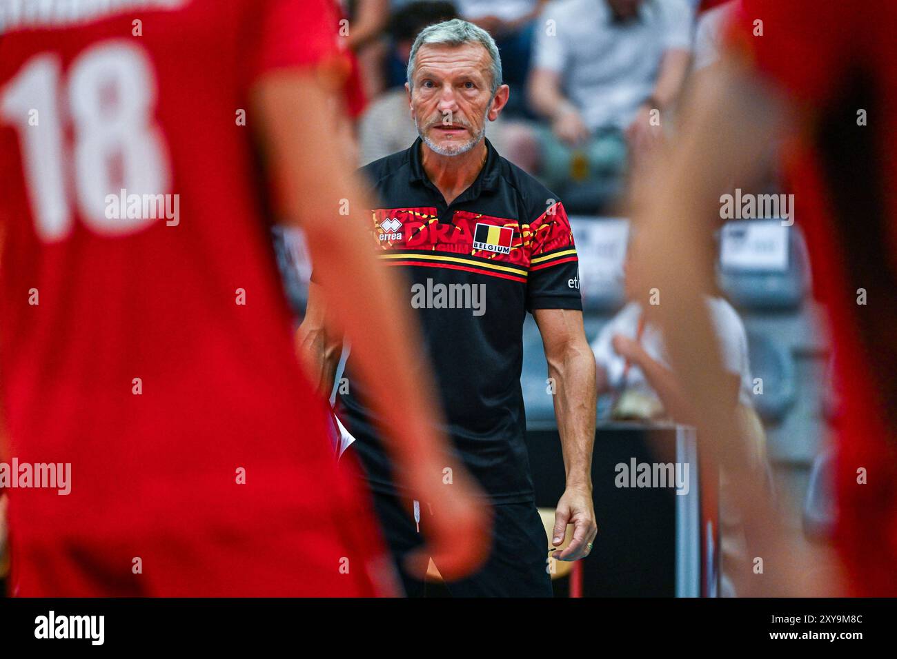 Kortrijk, Belgien. August 2024. Cheftrainer Zanini Emanuele aus Belgien, dargestellt während eines Volleyballspiels zwischen den Nationalmannschaften Österreichs und Belgiens, bekannt als die Red Dragons, während der Qualifikationsphase Leg 4 in der CEV Euro Volley Championship in Pool B, am Mittwoch, den 28. August 2024 in Kortrijk, Belgien. Quelle: Sportpix/Alamy Live News Stockfoto