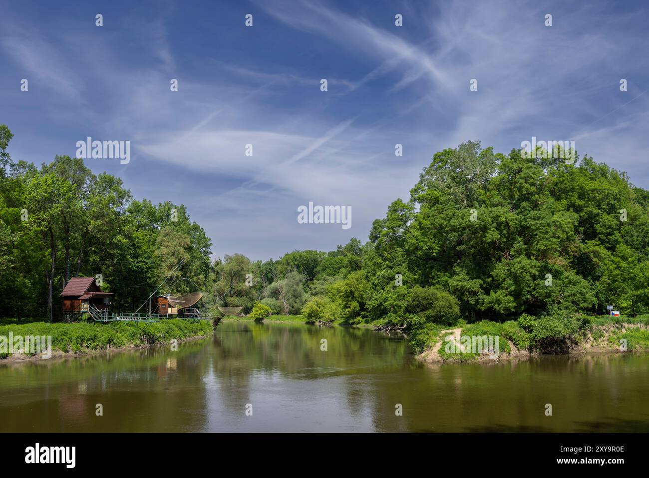 Zusammenfluss der Flüsse Morava und Dyje, Zahorie (CHKO Zahorie), Dreiländereck Österreich, Slowakei und Tschechien Stockfoto