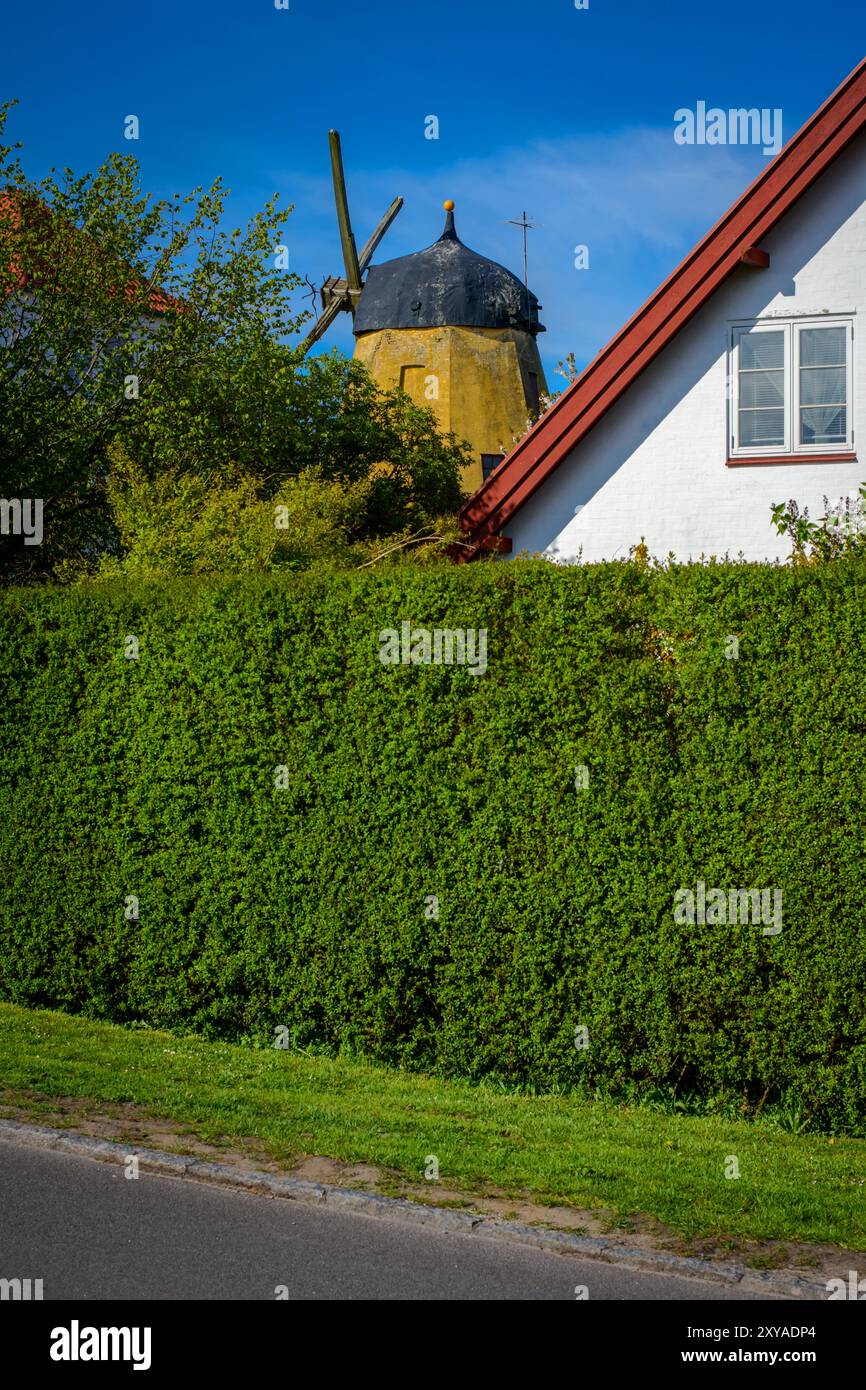 Alte gelbe Windmühle und ein weißes Haus mit rotem Dachschräge in Nexo, Bornholm Island, Dänemark. Sonniger Tag, Frühling. Vertikales Layout Stockfoto