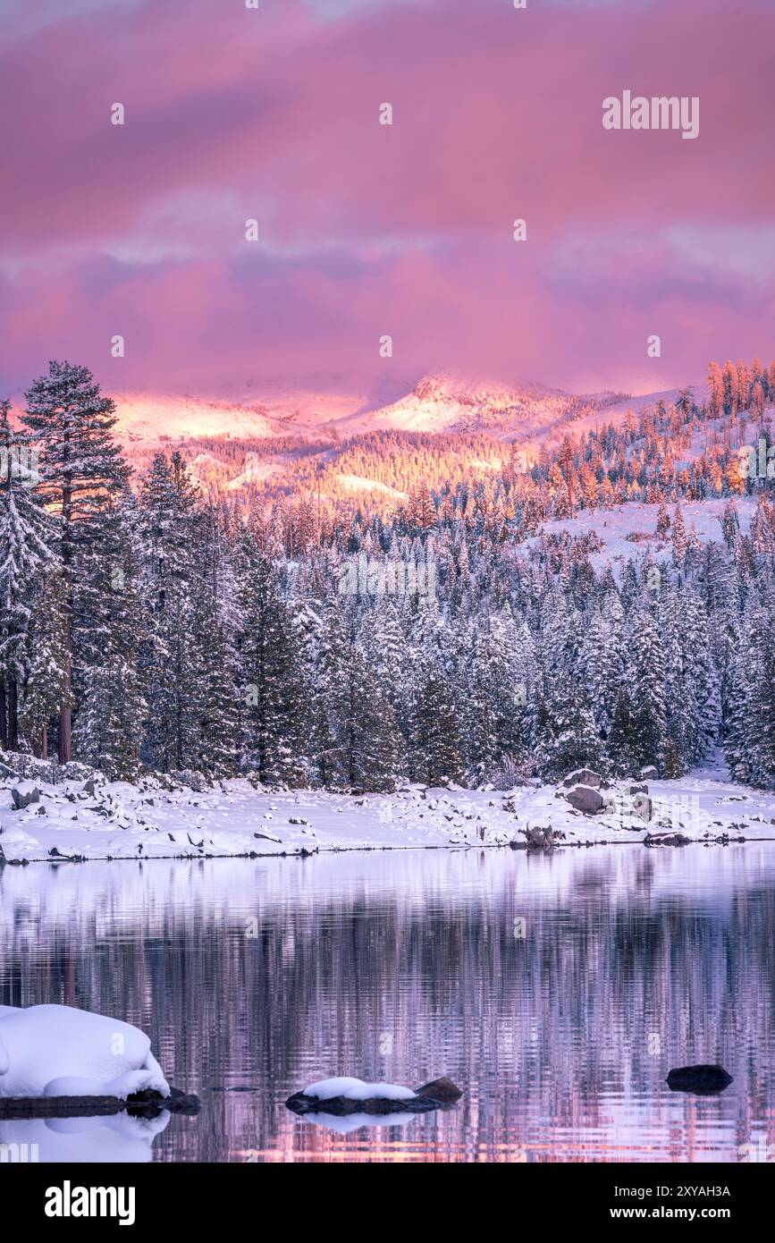 Frischer Schnee unter einem rosafarbenen Sonnenuntergang bedeckt das Ice House Reservoir im El Dorado County, Kalifornien. Stockfoto