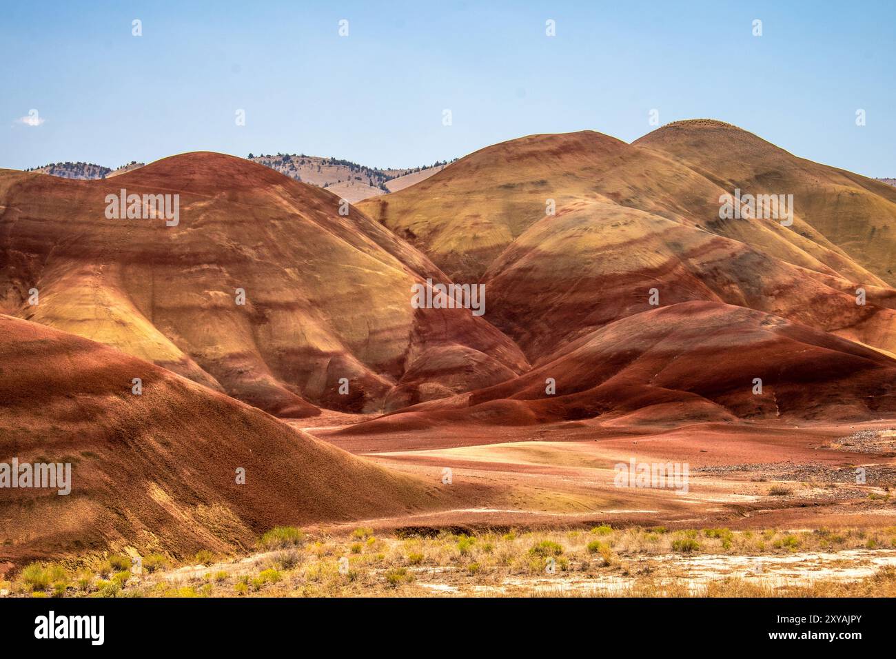 Oregons Painted Hills an einem heißen Julinachmittag Stockfoto