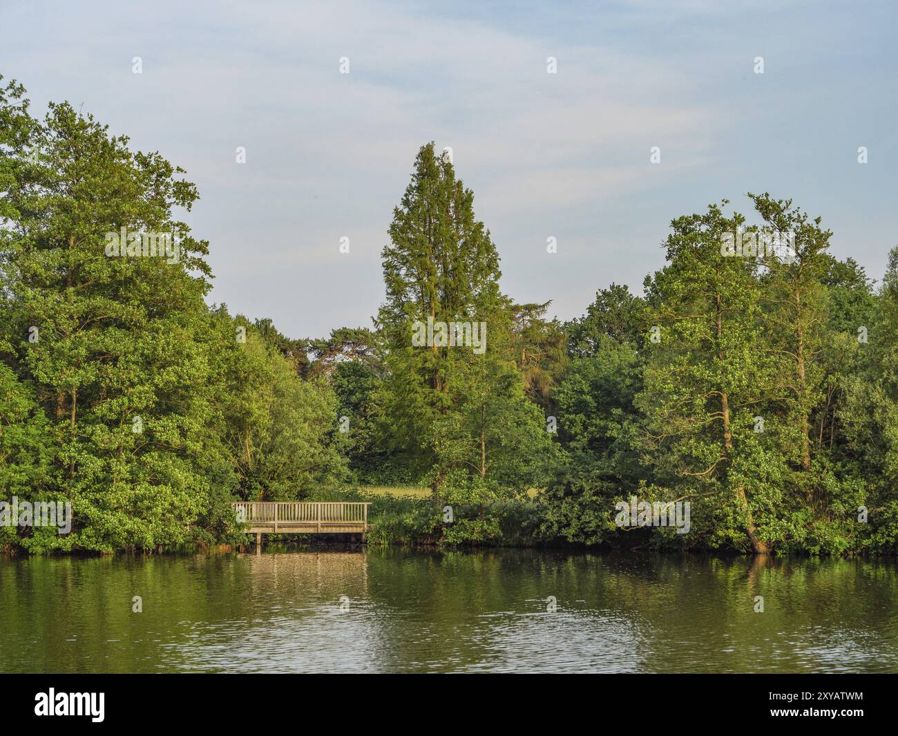 Ein Holzsteg führt in einen See, umgeben von Bäumen und beschaulicher Natur, Proebstingsee, Borken, Münsterland, Deutschland, Europa Stockfoto