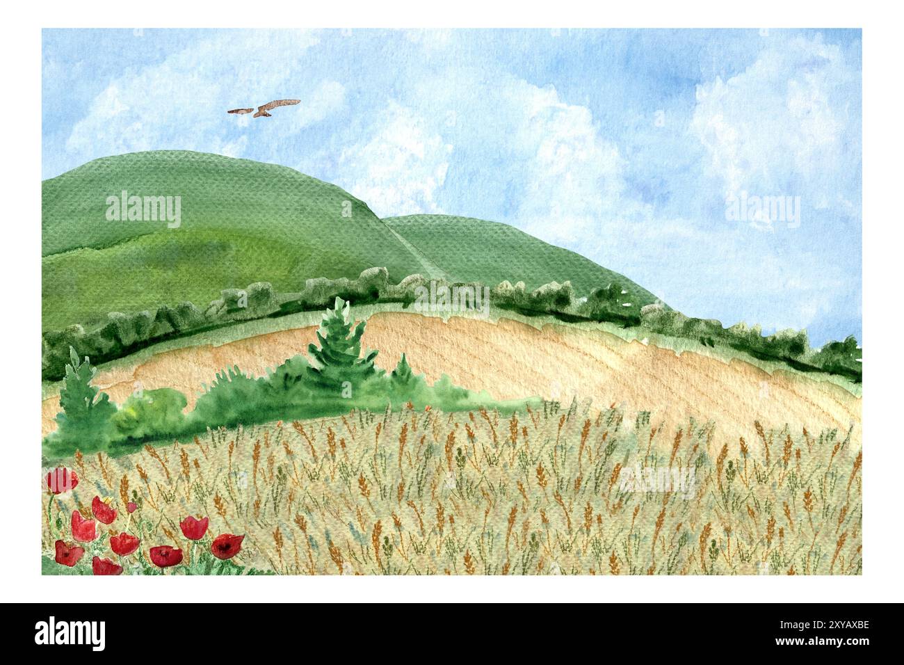Weizenfelder mit Buschrand, Drachen, Hügel, blauer Himmel mit einigen Wolken und Mohnblumen Aquarellkarte. Handgemalte Natur, Landschaftsdesign Stockfoto