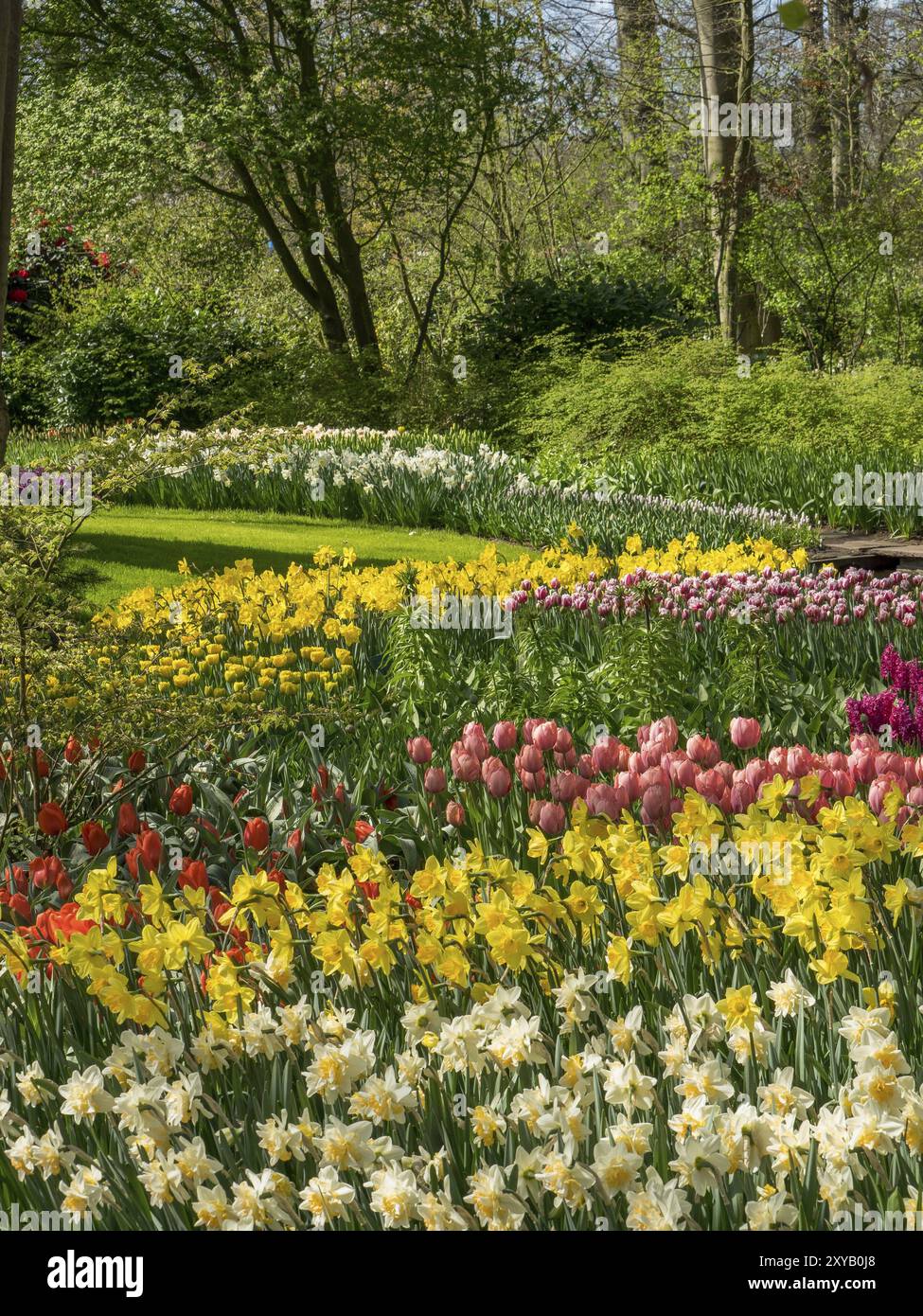 Ein blühender Garten mit gelben Narzissen, roten Tulpen und anderen bunten Blumen, Amsterdam, Niederlande Stockfoto