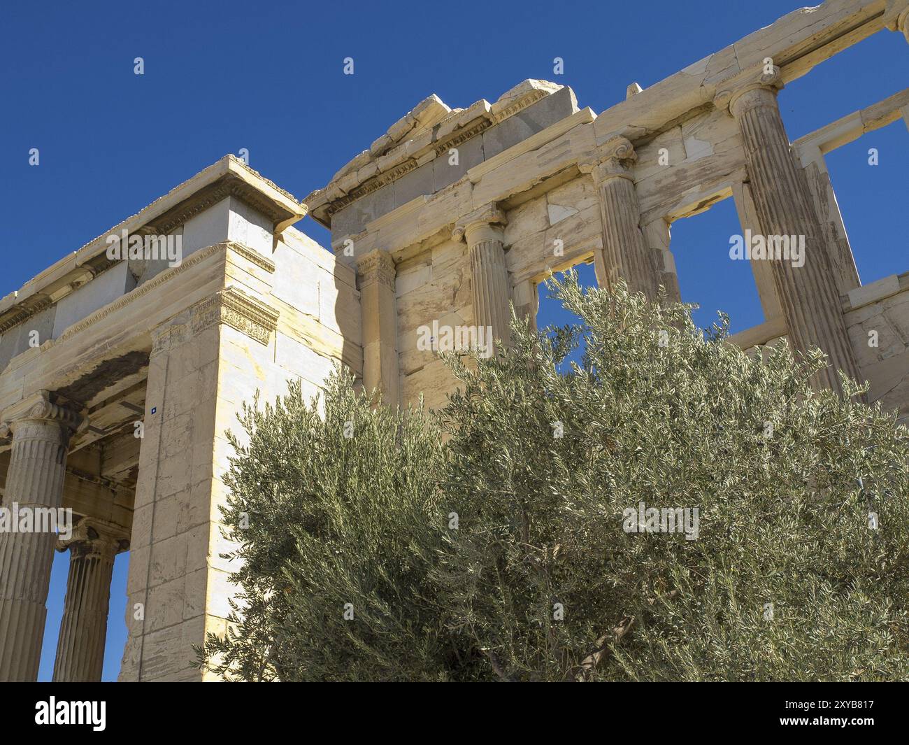 Ruinen und alte Säulen aus der antiken griechischen Architektur, umgeben von einem Baum, athen, griechenland Stockfoto