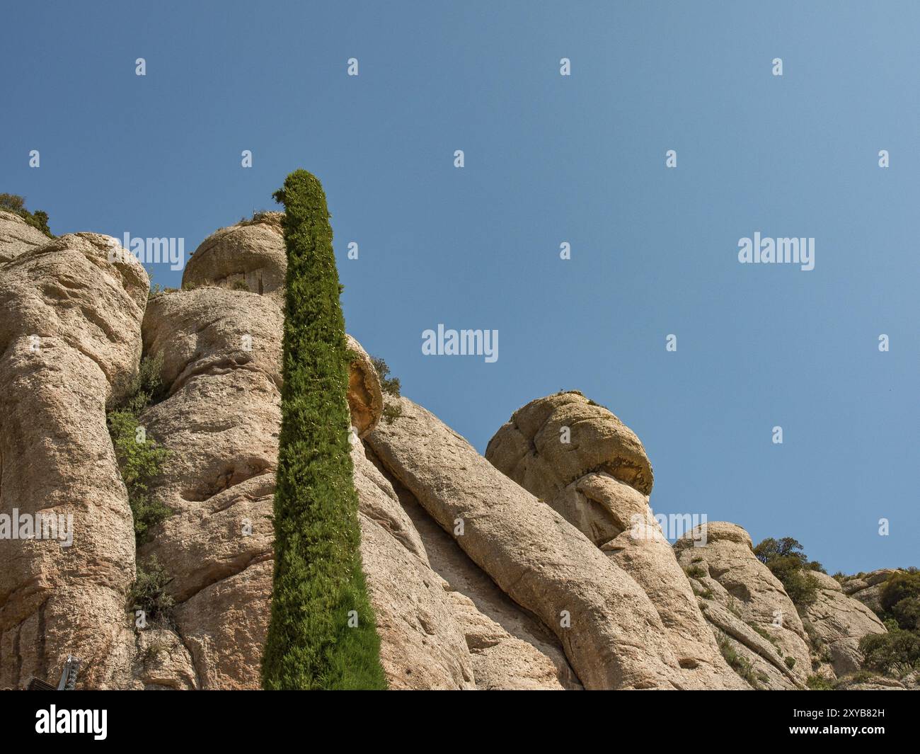 Hohe Felsen mit einem schlanken Baum vor einem klaren Himmel, montserrat, spanien Stockfoto