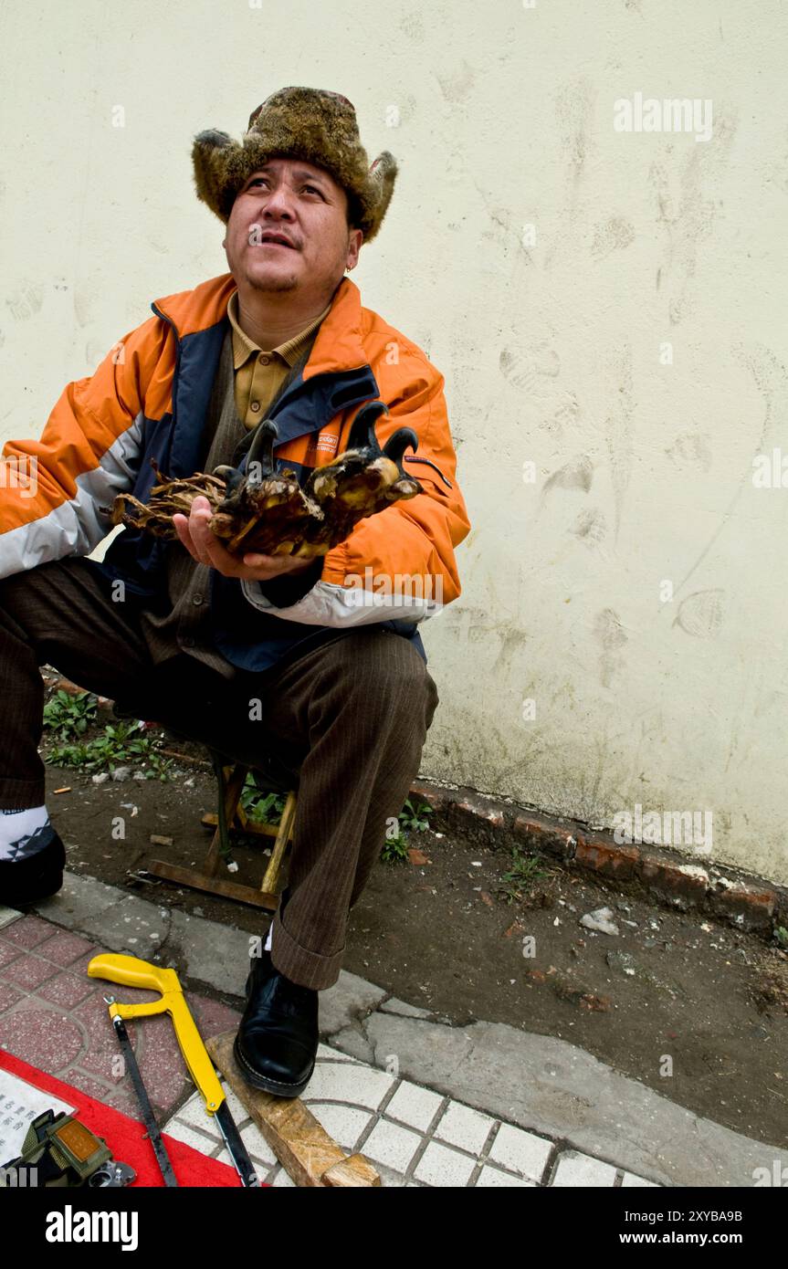 Illegaler Handel mit tierischen Teilen in China. Tigerpfote und andere Tigerteile sowie andere gefährdete Arten werden in ganz china verkauft. Stockfoto