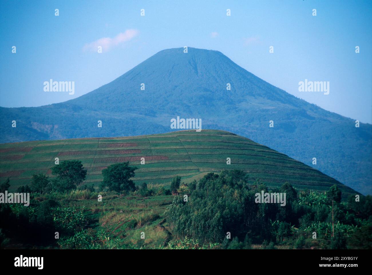 Mout Mgahinga im Hintergrund, einer der Virunga-Vulkane, der Lebensraum des Berggorillas, aus der Stadt Kisoro, Uganda Stockfoto