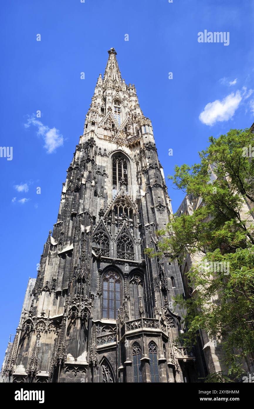 Österreich, Stadt Wien, Stephansdom, gotischer Südturm, Europa Stockfoto