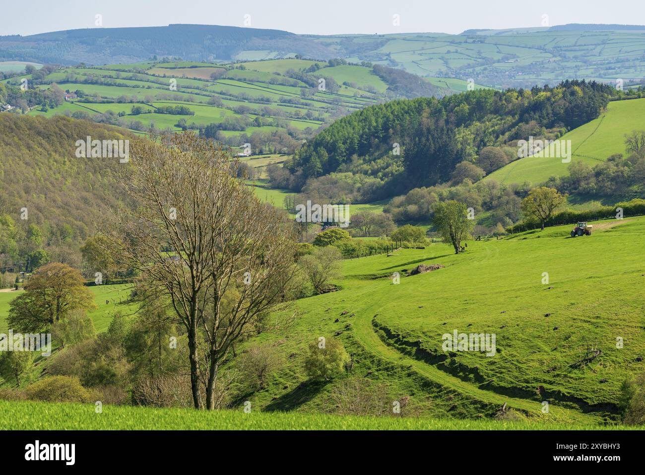 Landschaft in der Nähe von Mainstone, Shropshire, England, Großbritannien Stockfoto