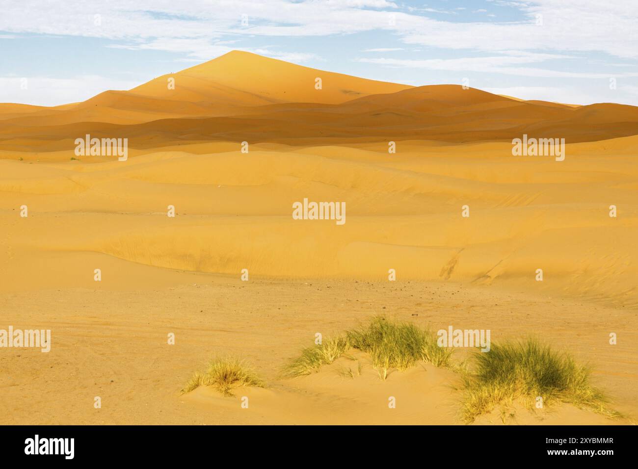 Erg Chebbi Wüste, Marokko, Afrika Stockfoto