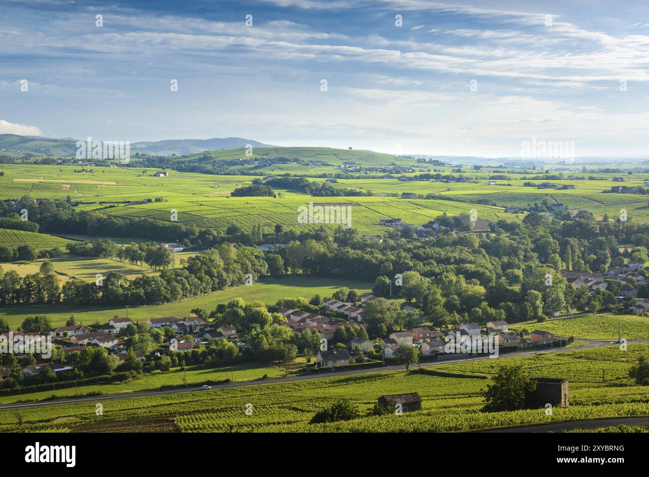 Dorf Cercie und Morgon Weinberge, Landschaft von Beaujolais, Frankreich, Europa Stockfoto
