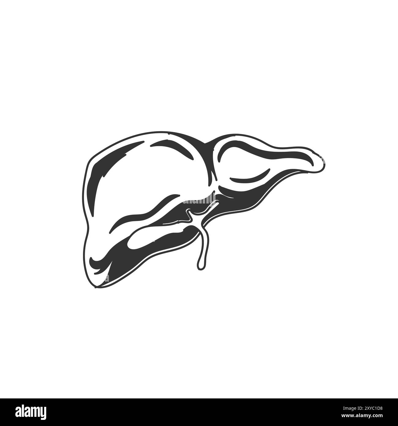 Jahrgang isolierter Querschnitt der menschlichen Leber für die medizinische interne Organbildung. Vektorabbildung Stock Vektor