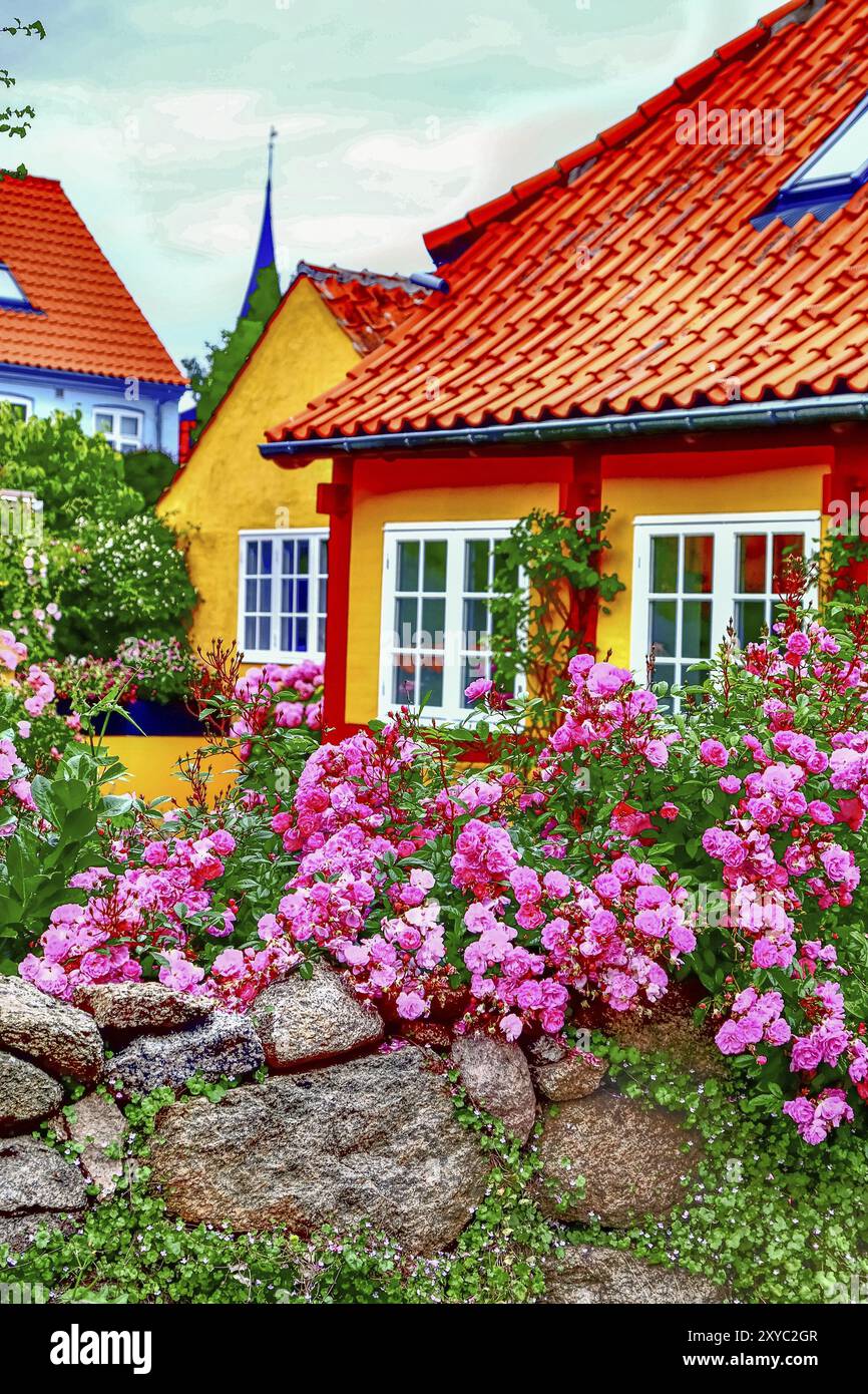 Ein malerischer Garten mit bunten Blumen vor charmanten Häusern und blauem Himmel, Svaneke, bornholm, ostsee, dänemark, skandinavien Stockfoto