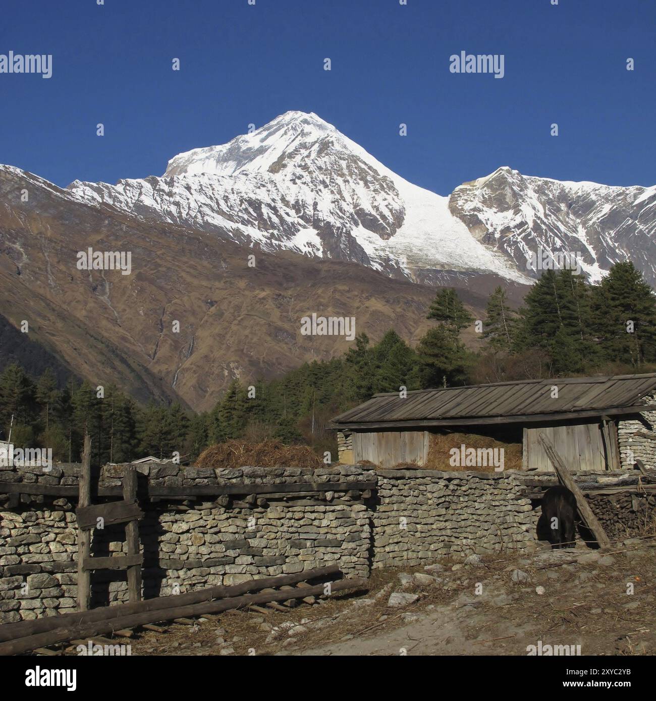 Blick von Titi, Dhaulagiri Stockfoto