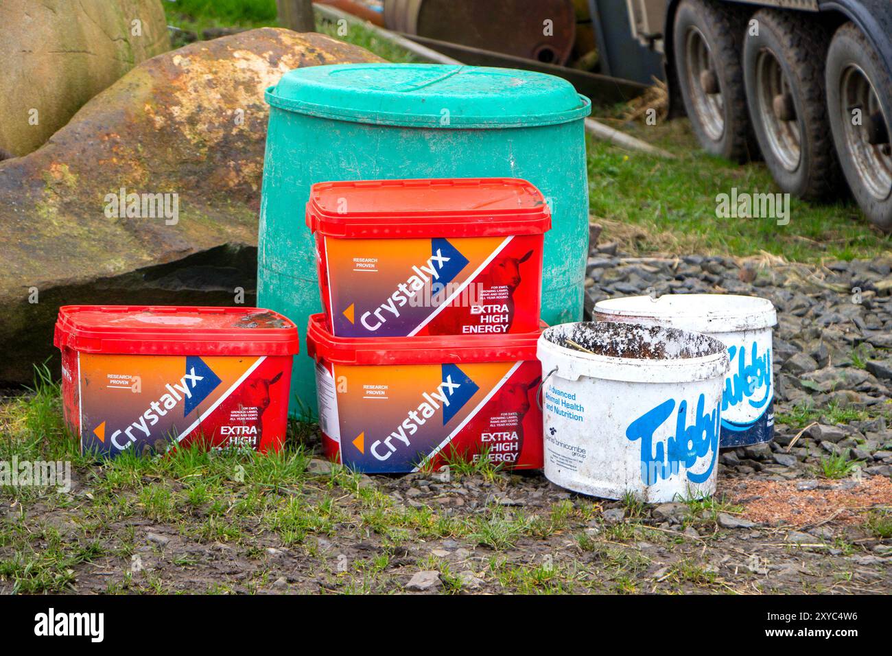 Behälter mit Futtermitteln für Tiere, einschließlich roter und weißer Eimer, die in einer Norfarm-Umgebung neben einem grünen Fass auf den Boden gestellt werden. CrystalX Stockfoto