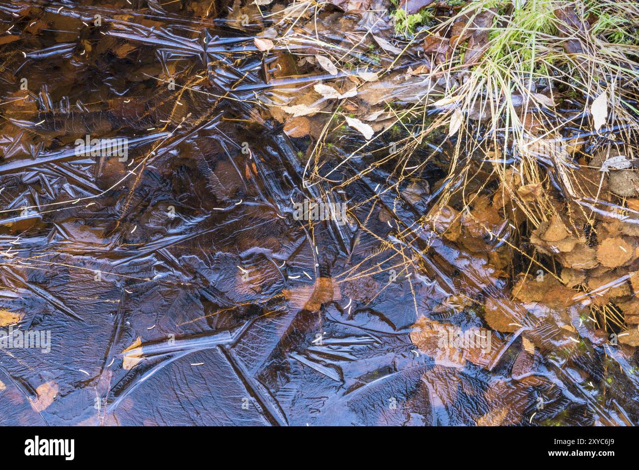 Eisstrukturen in einem Bach, Gaellivare, Norrbotten, Lappland, Schweden, Oktober 2015, Europa Stockfoto