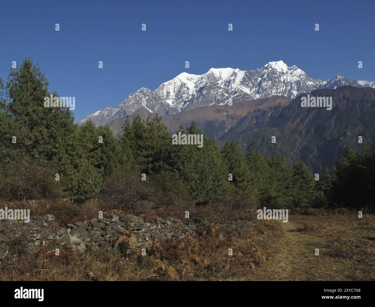 Majestätisches Nilgiri, 7061 m, Nepal, Asien Stockfoto