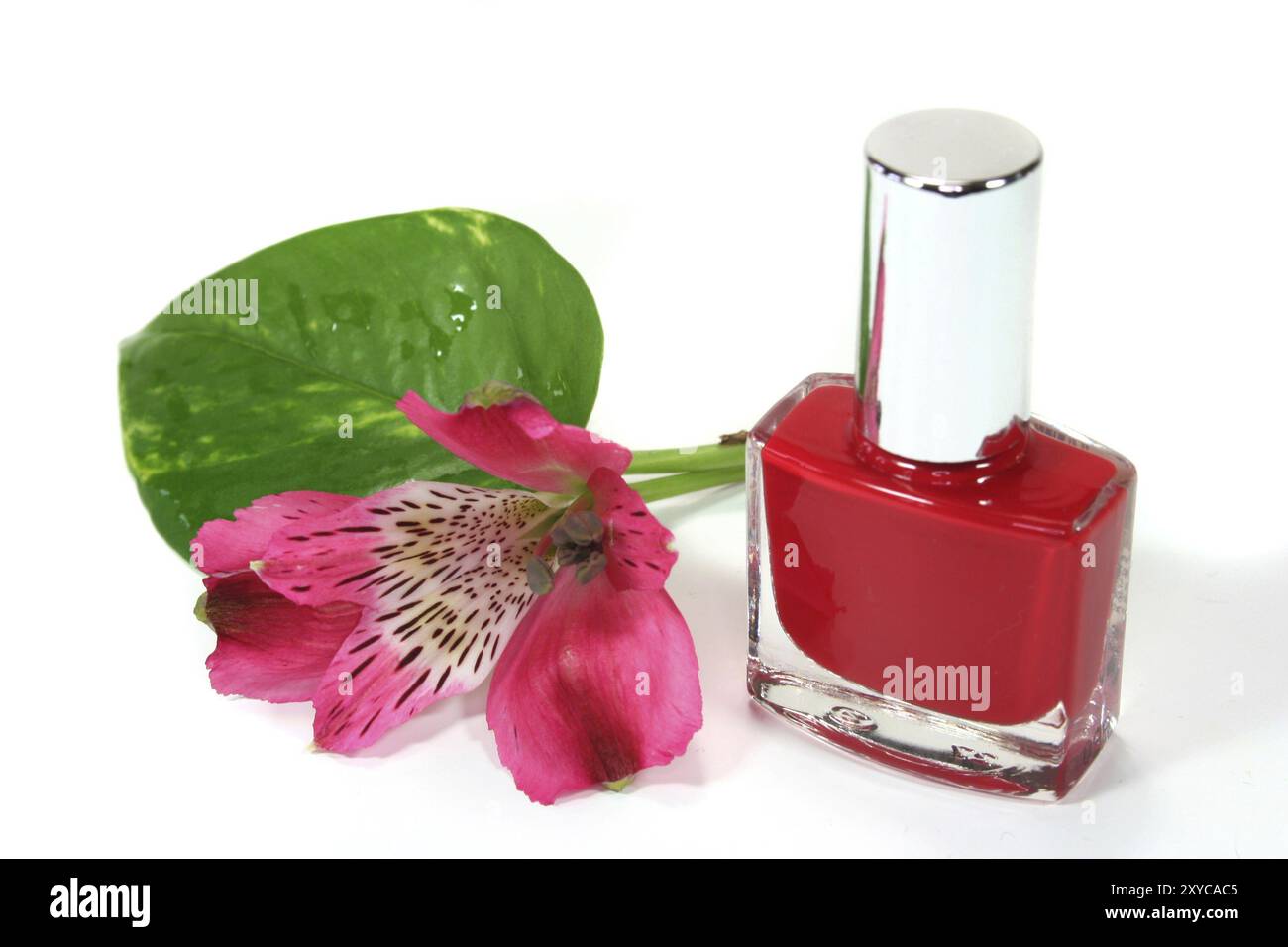 nagellack mit Blatt und Blume Stockfoto