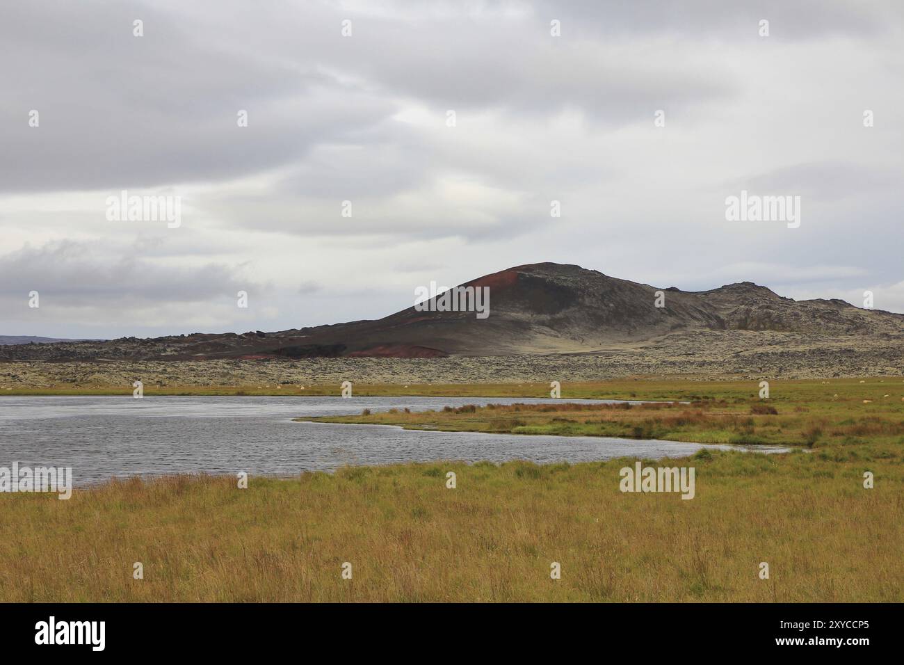 Vulkanlandschaft und Teich in Vesturland, Island, Europa Stockfoto