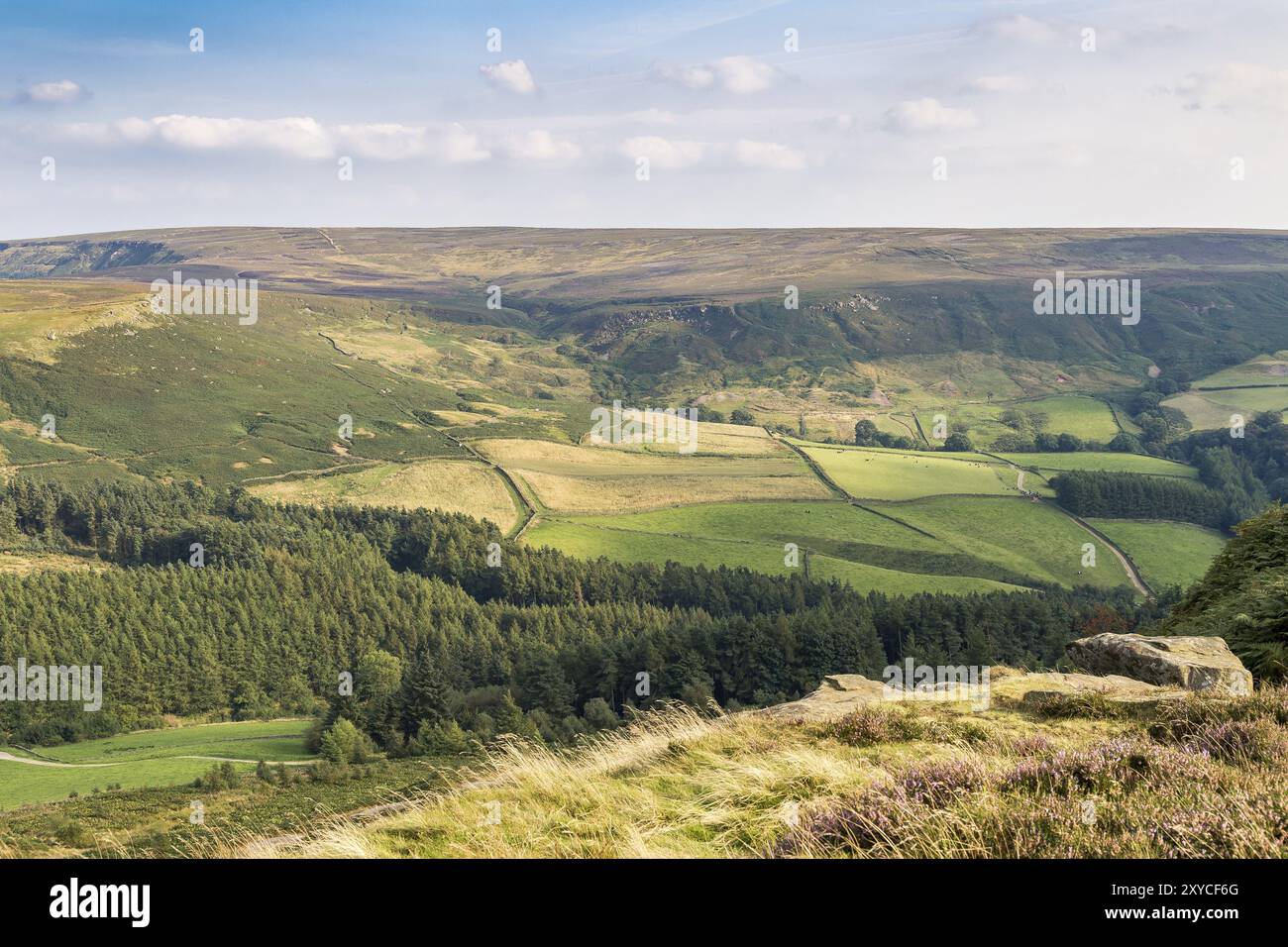Blick auf die North York Moors von Cleveland Weg zwischen Clay Bank und Wainstones, in der Nähe der Stokesley, North Yorkshire, Großbritannien Stockfoto