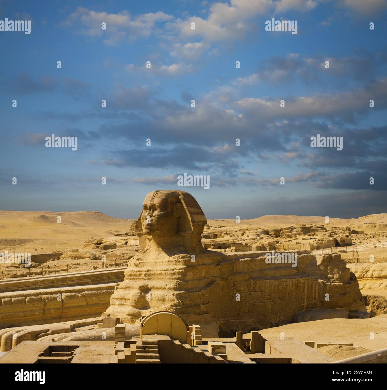 Körper und Profil der Großen Sphinx an den Großen Pyramiden in Ägypten an einem Tag mit blauem Himmel in Gizeh, Kairo, Ägypten. Keine Personen anwesend Stockfoto