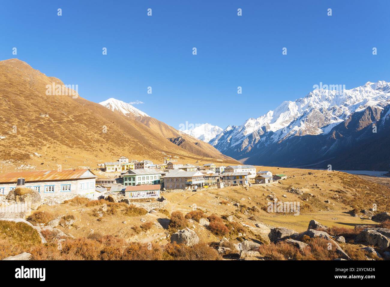 Hoch gelegenen Dorf Kyanjin Gompa liegt im Langtang-Tal am Fuße des Himalaya-Gebirge und schneebedeckten Gipfel der Gangchenpo im Hintergrund in Nepal Stockfoto