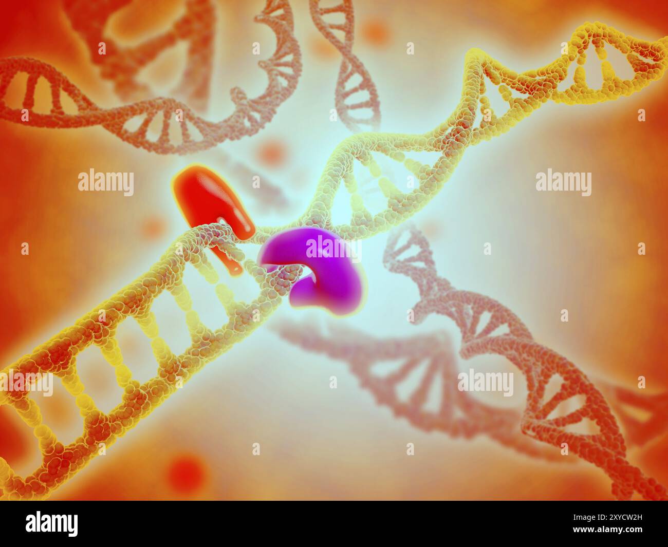 Mikroskopische Betrachtung der DNA-Bindung Stockfoto