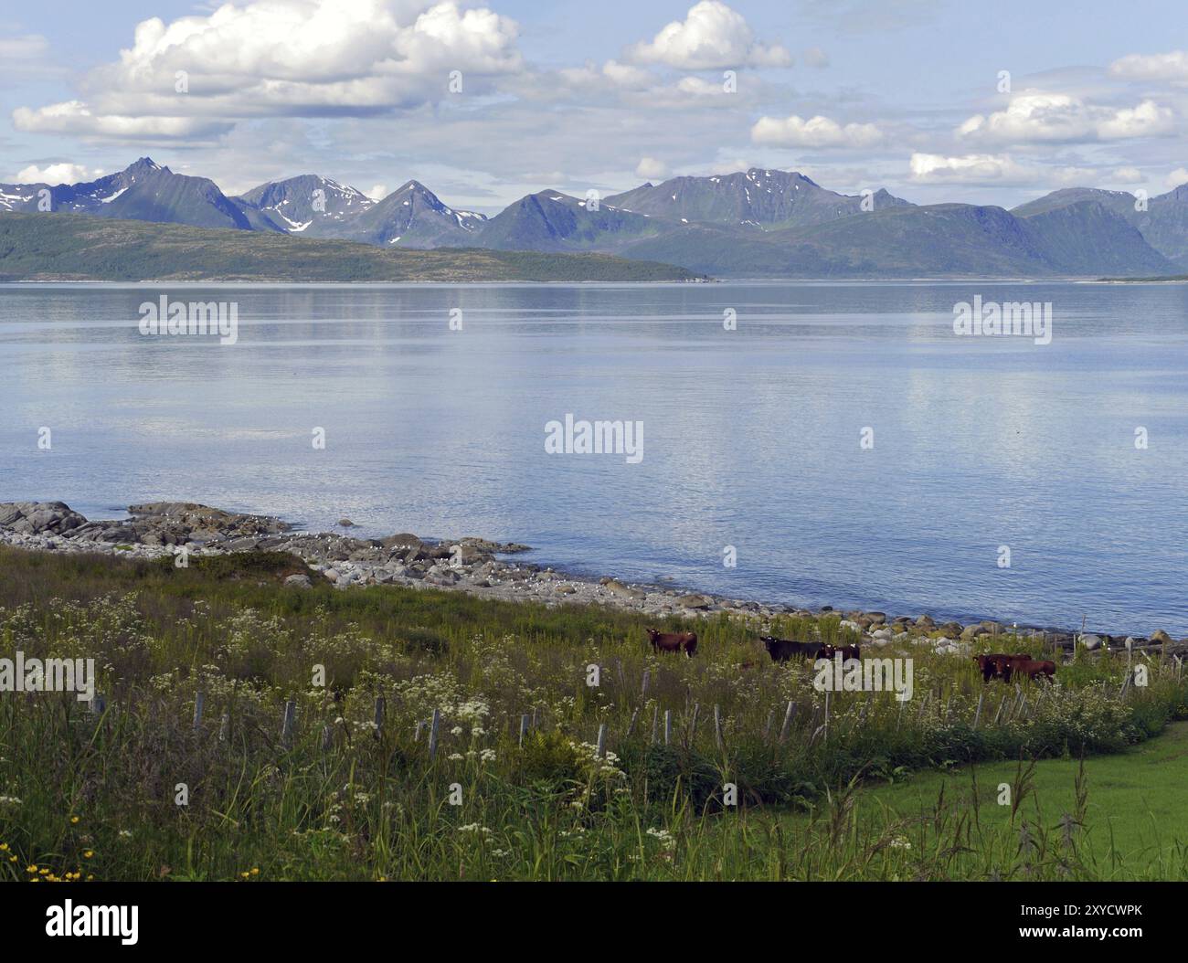 Aus Wikipedia: Kvaefjord ist ein Fjord im Norden der Vesteralen-Insel Hinnoya, westlich von Harstad, in der Fylke (Provinz) von Troms im Norden von N Stockfoto