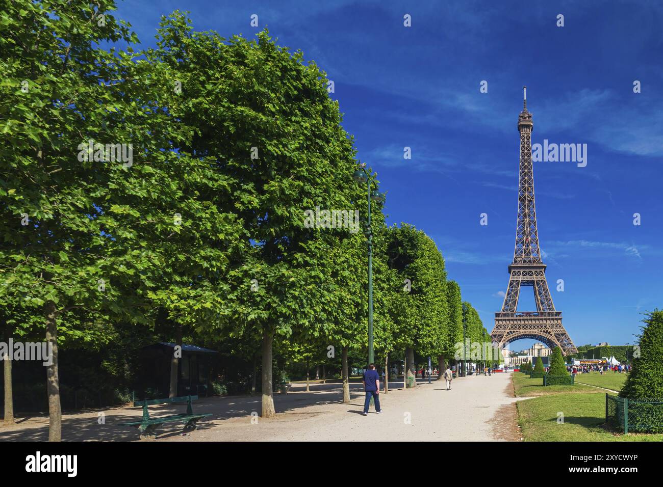 Der Eiffelturm ist eines der berühmtesten Wahrzeichen in Paris. Der Champ de Mars ist ein großer öffentlicher Park in Paris Stockfoto