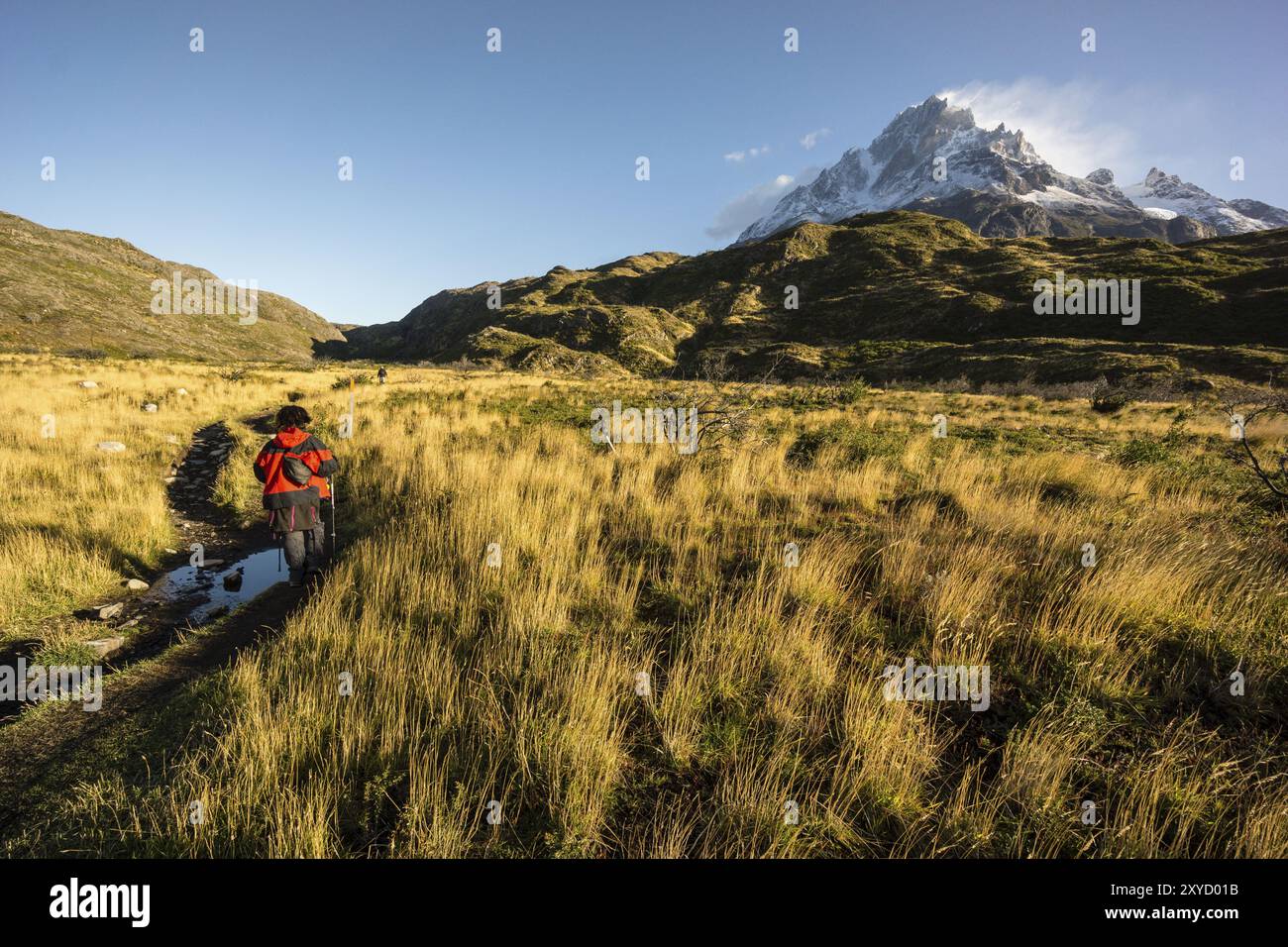 Cerro Paine Grande, 3050 m, W Trekking, Torres del Paine Nationalpark, Patagonien, Republik Chile Stockfoto