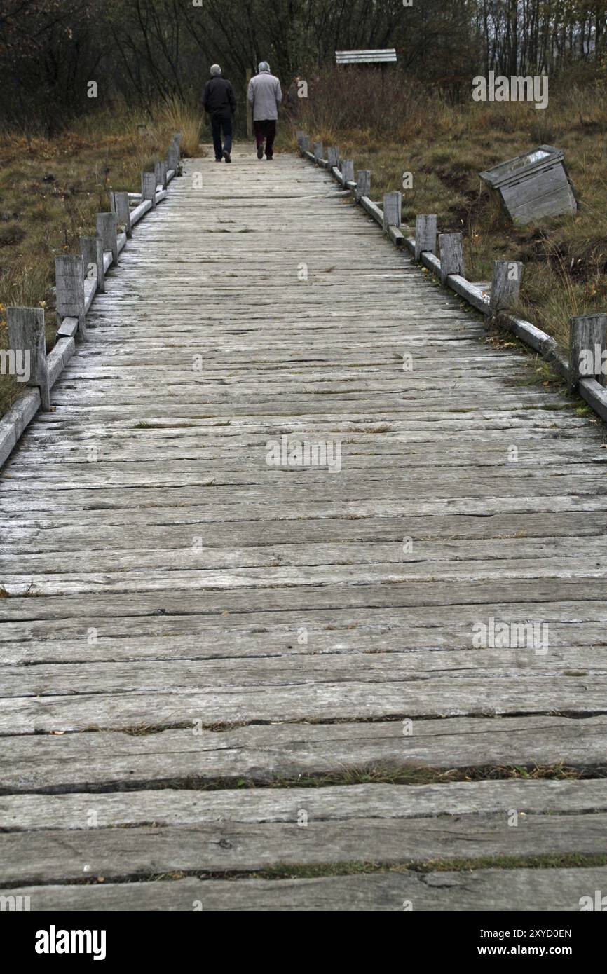 Plankenweg durch das Hiller Moor Stockfoto