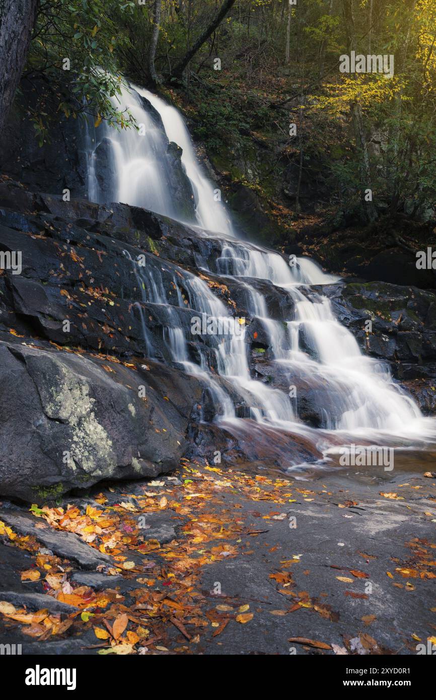 Laurel Wasserfall. Great Smoky Mountains National Park, Tennessee, USA, Nordamerika Stockfoto