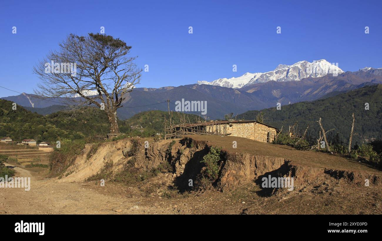 Szene auf dem Weg nach Ghale Gaun. Baum-, Schuppen- und schneebedeckte Annapurna-Reihe Stockfoto