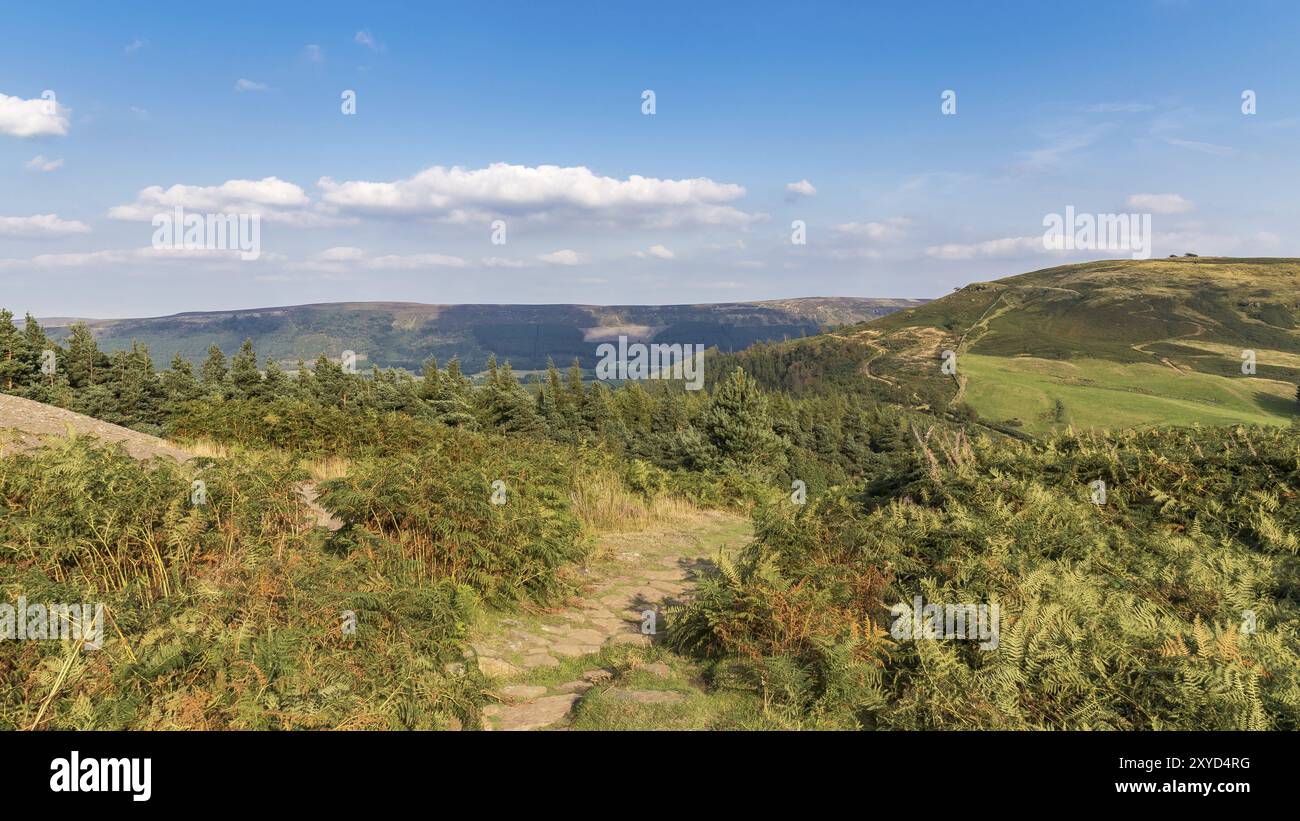 Blick auf die North York Moors von Cleveland Weg zwischen Clay Bank und Wainstones, in der Nähe der Stokesley, North Yorkshire, Großbritannien Stockfoto