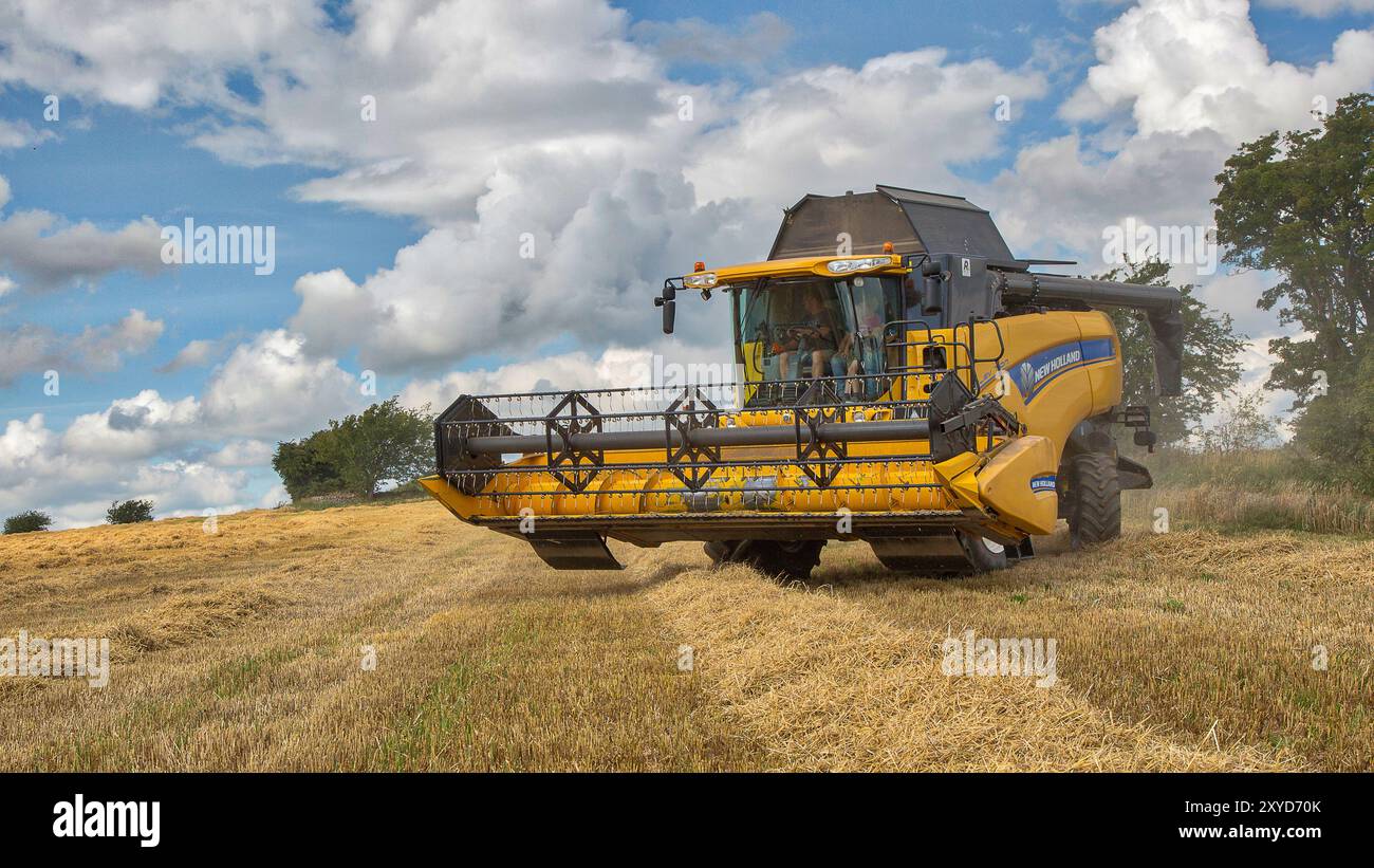 Ein New Holland-Mähdrescher, der in einem Feld mit Gerstenstroh dreht. Ein wunderschöner blauer Himmel und atemberaubende Wolken bilden die Kulisse an einem Sommertag. Stockfoto