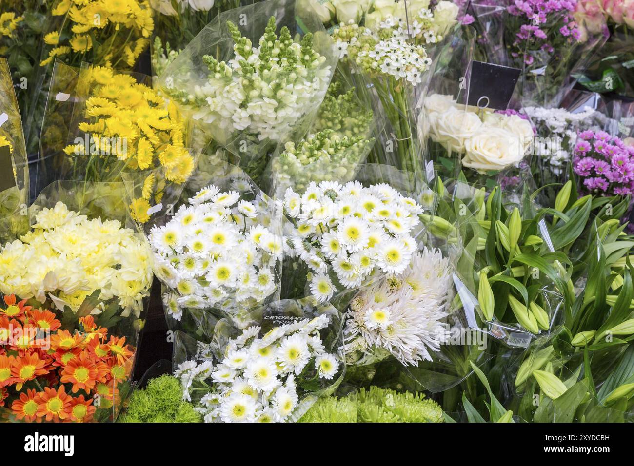 Auswahl an Blumen vor einem Blumenladen Stockfoto
