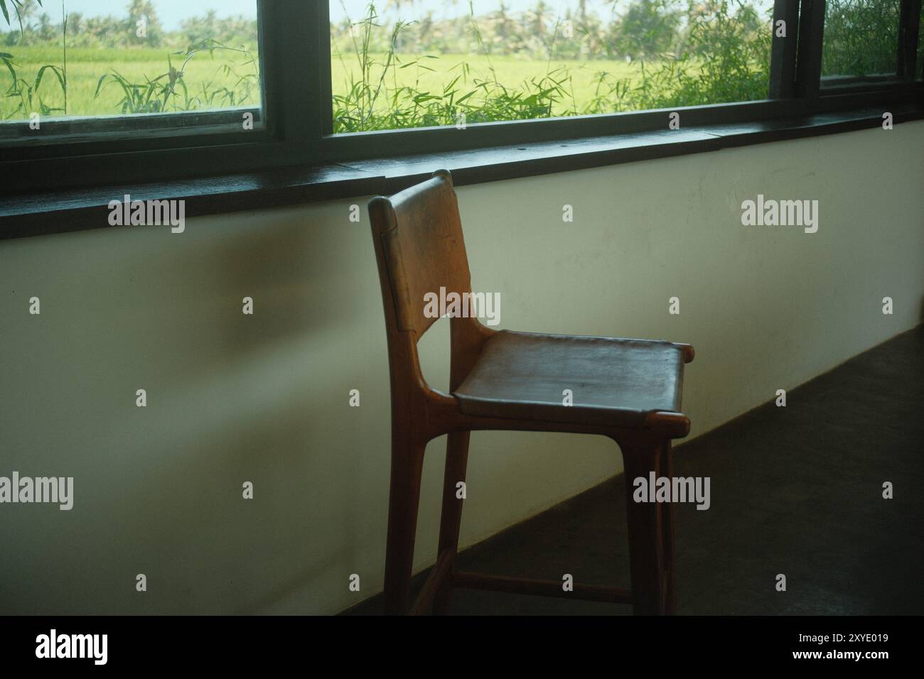 Barhocker aus Holz aus Leder mit Blick auf das Reisfeld vom Panoramafenster Stockfoto