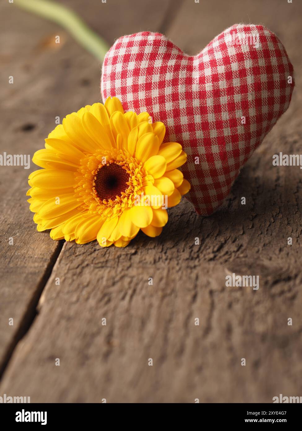 Karierten Stoff Herzform mit einem gelben Gerbera daisy auf einem rustikalen Holztisch, Valentinstag oder Muttertag Konzept Hintergrund mit Platz für Tex Stockfoto