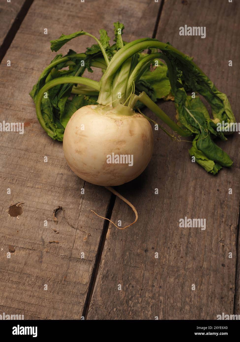 Kann Rübe auf einem rustikalen Holztisch mit Platz für text Stockfoto