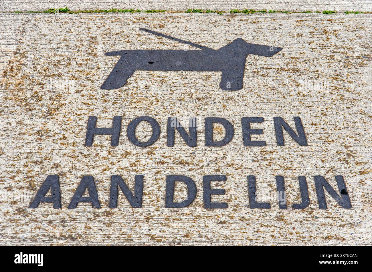 Zwolle, Niederlande, 5. August 2024: Betonradweg mit einem Bild eines Hundes an der Leine und den Worten, auf Niederländisch Hunde an der Leine Stockfoto