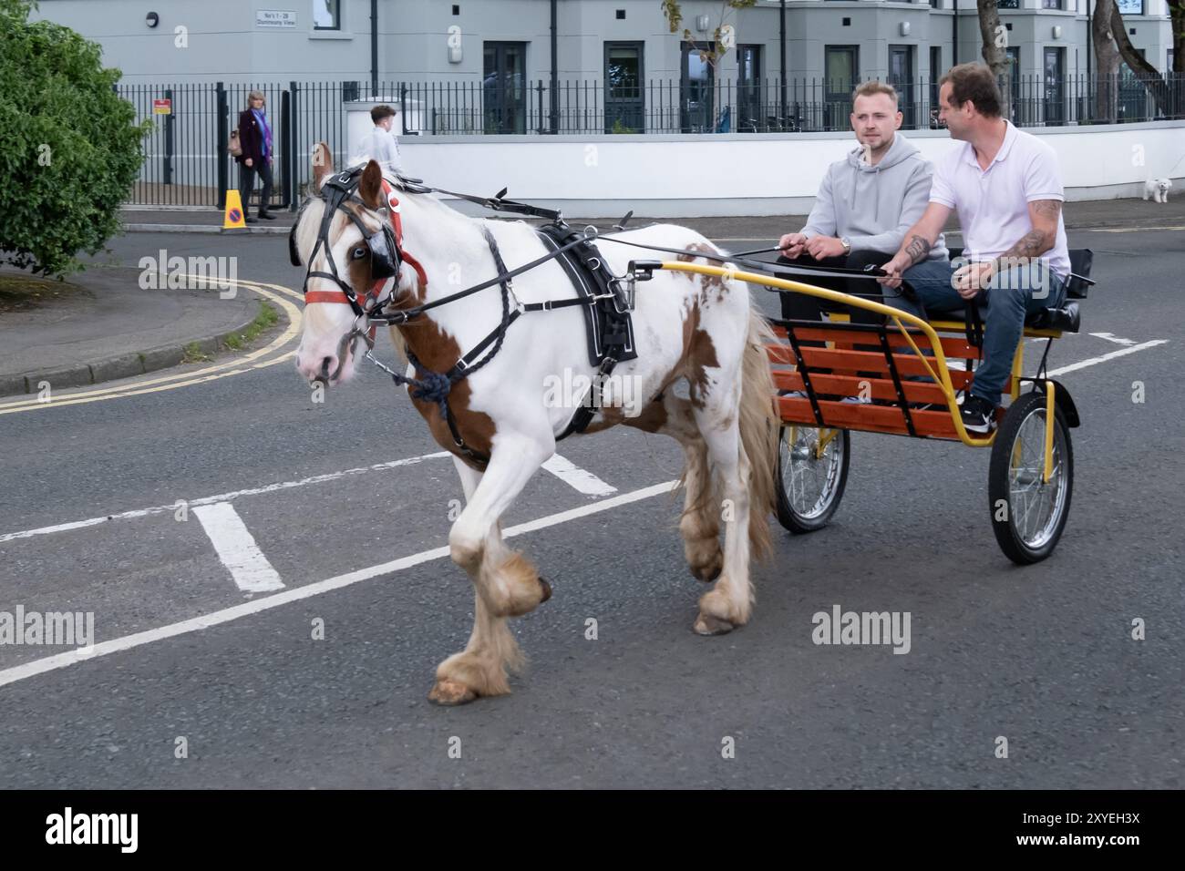 Zwei Männer in einer kleinen Ponyfalle, gezogen von braunen und weißen Pferden, die sich auf der Straße in der Nähe des Meeres aufmachen. Ballycastle, Großbritannien - 24. August 2024: Stockfoto