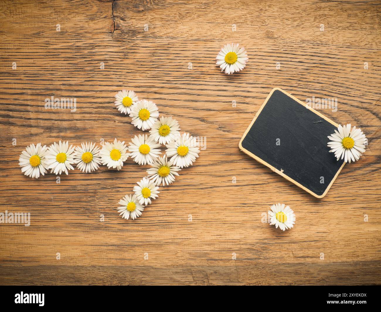 Kleine Tafel mit wunderschönen Gänseblümchen auf rustikalem Holzhintergrund, Zeit für Gartenarbeit, Frühlingskonzept Stockfoto