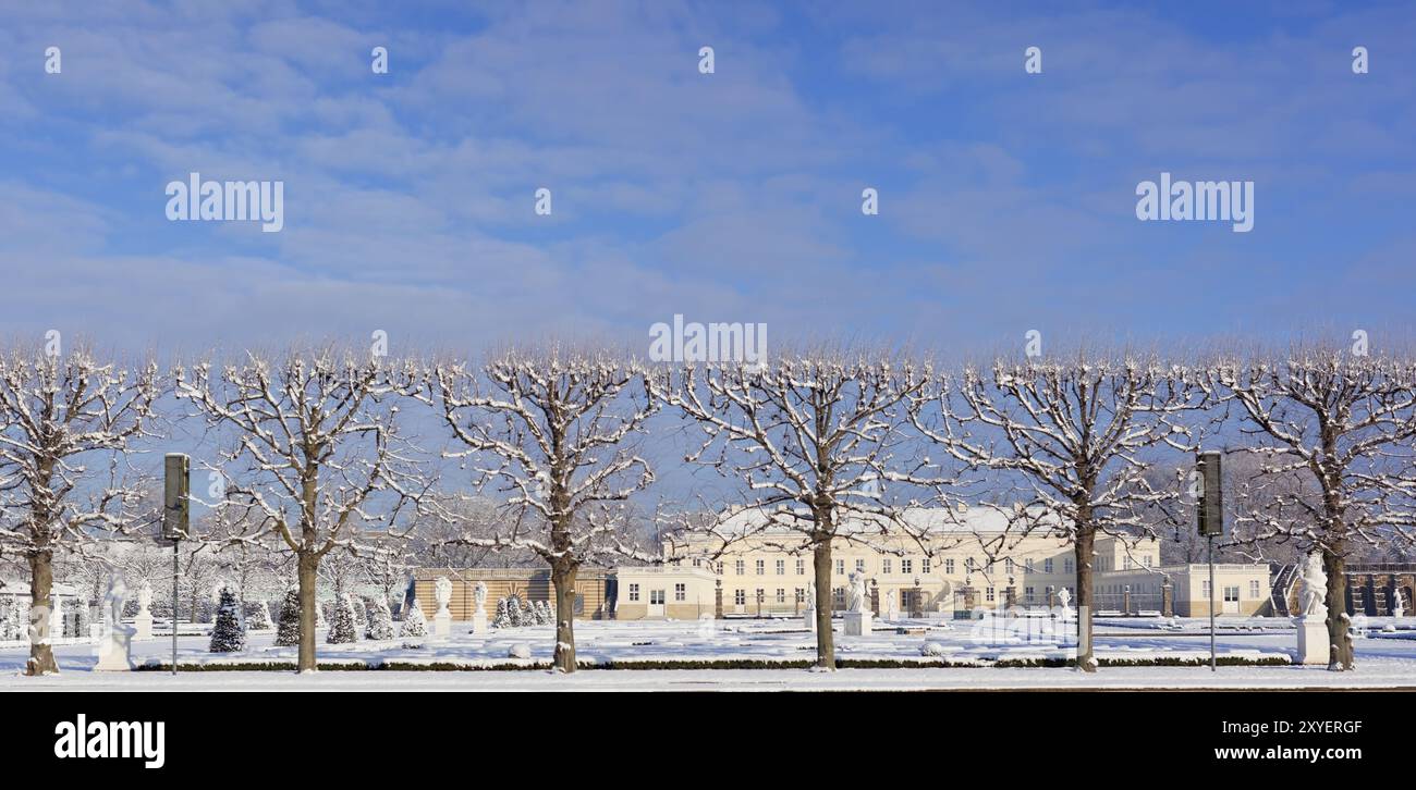 Schneebedeckte Bäume, Hannover-Herrenhausen, Niedersachsen, Deutschland, Europa Stockfoto