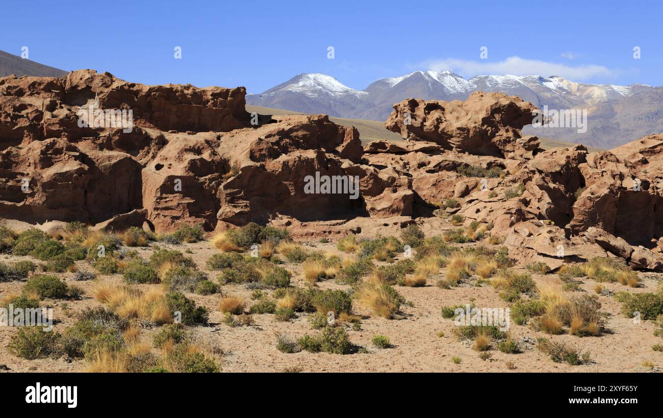 Bergpanorama in der Atacama-Wüste in Chile bei San Pedro de Atacama Stockfoto