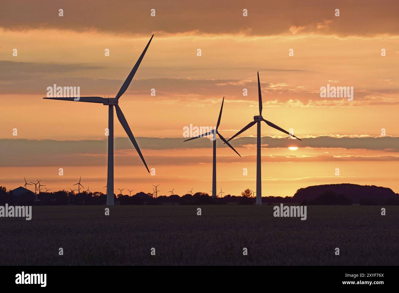 Europa, Deutschland, Niedersachsen, Windpark, Stromerzeugung, Sonnenuntergang, Windturbinen, Windkraftanlage, alternative Energien, Sonnenuntergang, Hamburg, Hamburg, Feder Stockfoto